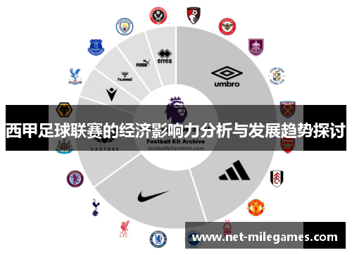 西甲足球联赛的经济影响力分析与发展趋势探讨