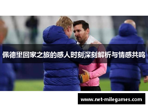 佩德里回家之旅的感人时刻深刻解析与情感共鸣
