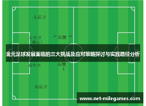 金元足球发展面临的三大挑战及应对策略探讨与实践路径分析