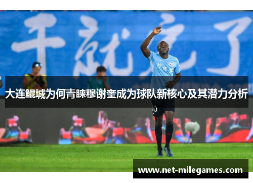 大连鲲城为何青睐穆谢奎成为球队新核心及其潜力分析