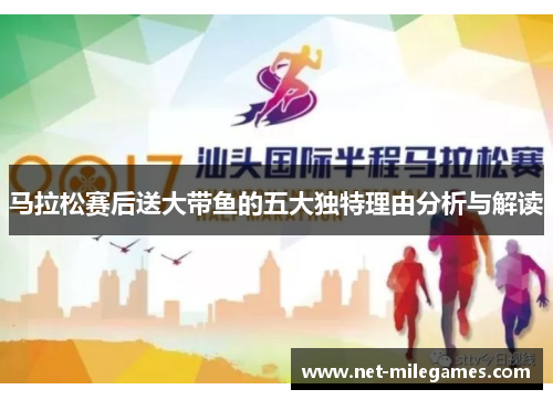 马拉松赛后送大带鱼的五大独特理由分析与解读