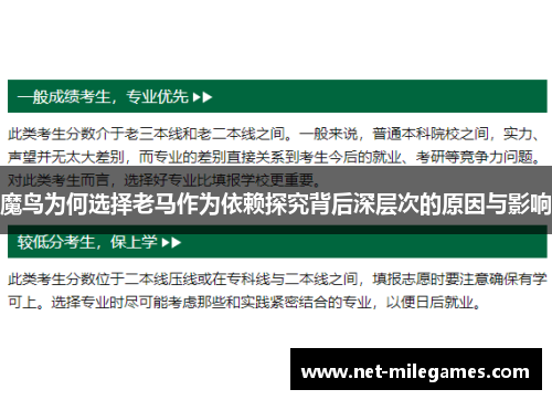 魔鸟为何选择老马作为依赖探究背后深层次的原因与影响