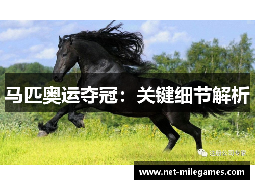 马匹奥运夺冠：关键细节解析